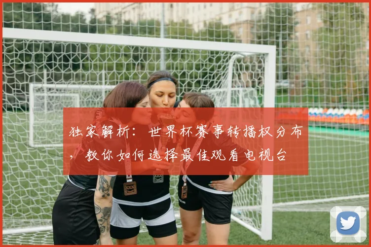 独家解析：世界杯赛事转播权分布，教你如何选择最佳观看电视台