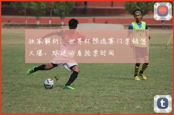 独家解析：世界杯预选赛门票销售火爆，球迷必看抢票时间