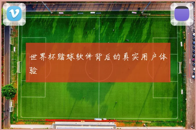 世界杯赌球软件背后的真实用户体验