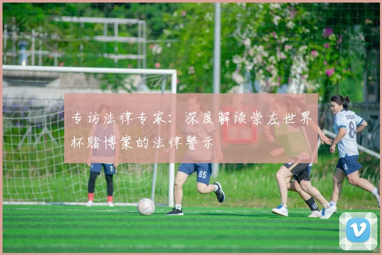 专访法律专家：深度解读崇左世界杯赌博案的法律警示